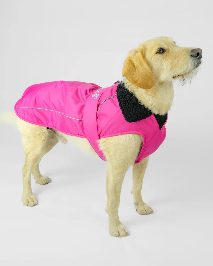 Hundemantel - Hundejacke Rosa / Schwarz