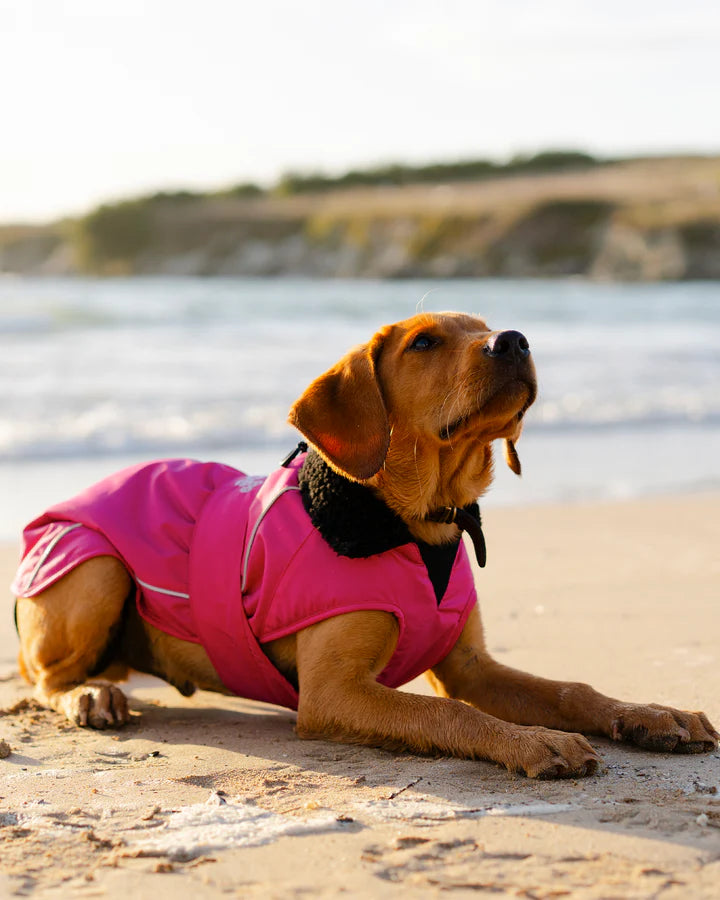 Hundemantel - Hundejacke Rosa / Schwarz