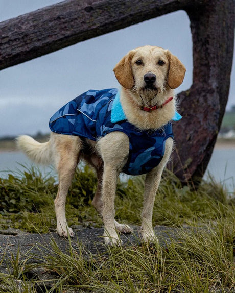 Dog Coat - Veste pour chien Bleu Camo / BleuPonchosDryrobe