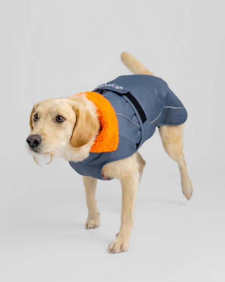 Dog Coat - Veste pour chien Gris / OrangePonchosDryrobe