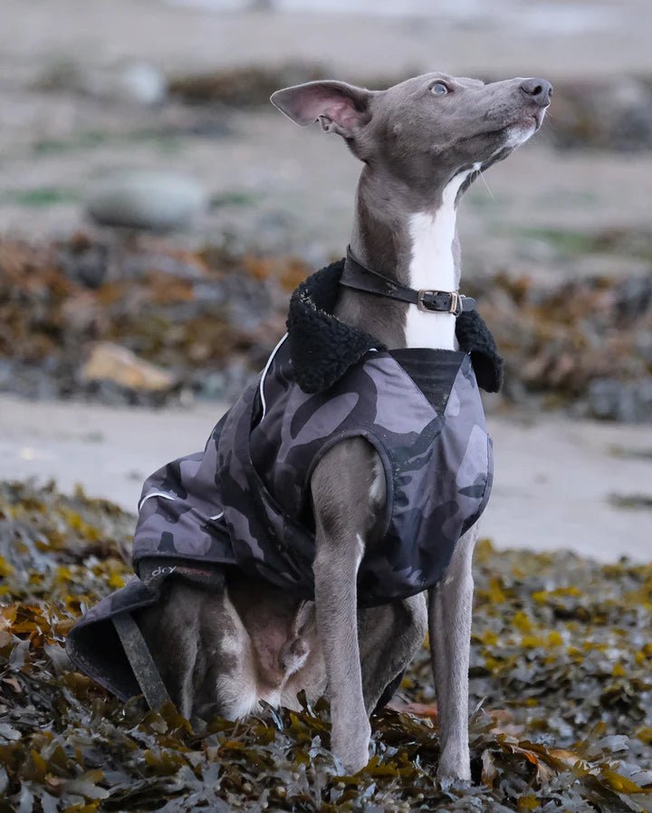 Dog Coat - Veste pour chien Noir Camo /NoirPonchosDryrobe
