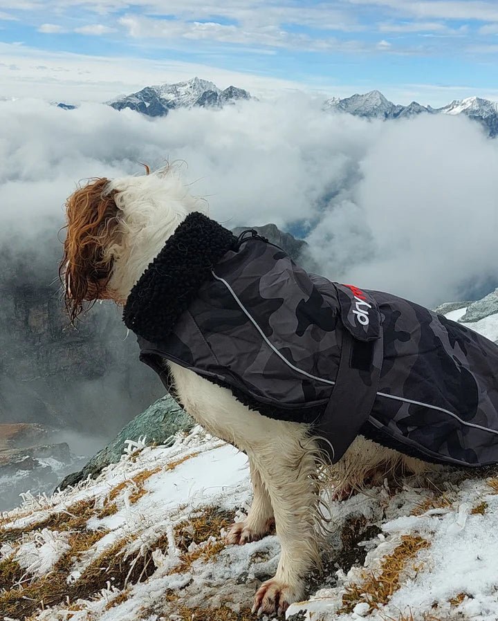 Dog Coat - Veste pour chien Noir Camo /NoirPonchosDryrobe