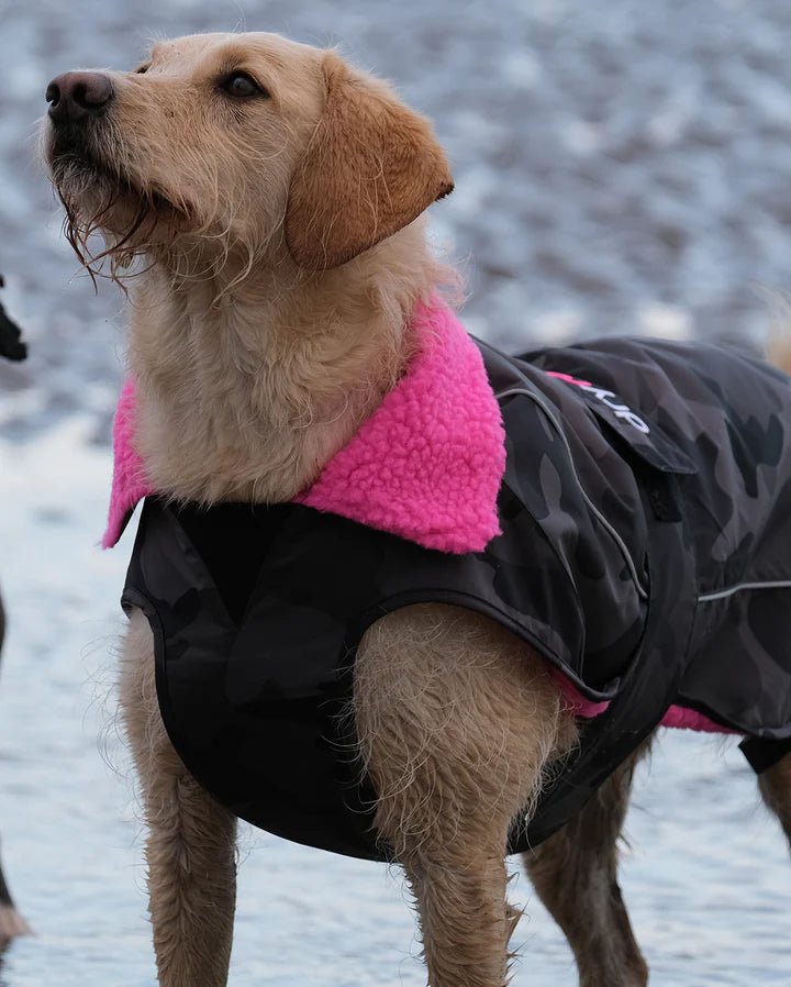 Dog Coat - Veste pour chien Noir Camo / RosePonchosDryrobe