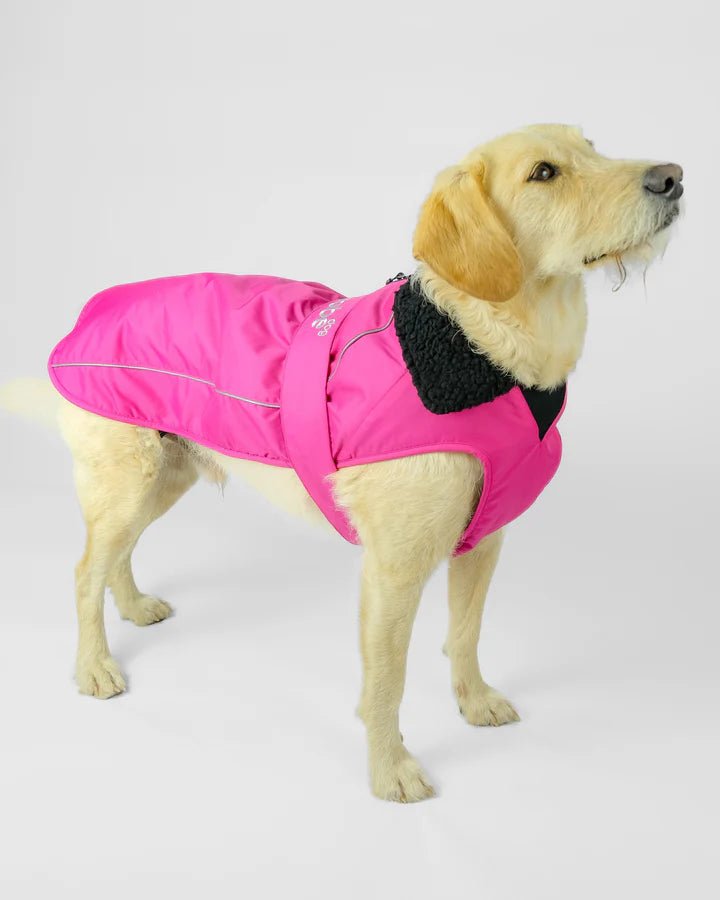 Dog Coat - Veste pour chien Rose / NoirPonchosDryrobe