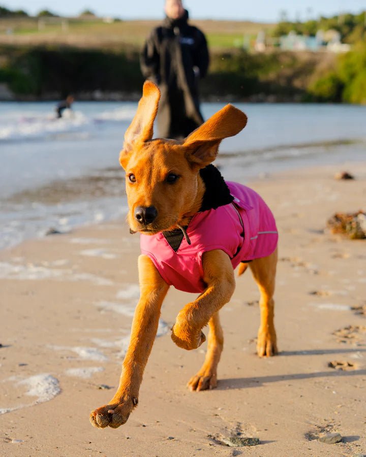 Dog Coat - Veste pour chien Rose / NoirPonchosDryrobe