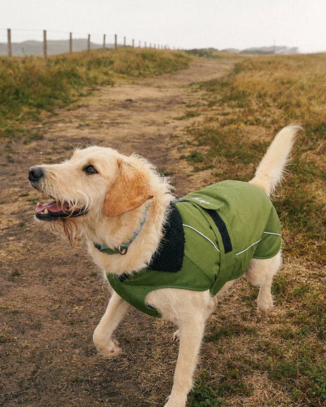 Dog Coat - Veste pour chien Vert / NoirPonchosDryrobe