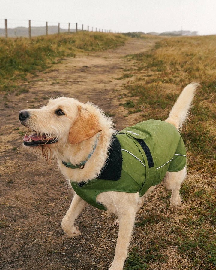 Dog Coat - Veste pour chien Vert / NoirPonchosDryrobe