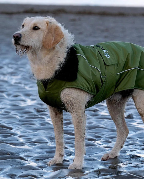 Dog Coat - Veste pour chien Vert / NoirPonchosDryrobe