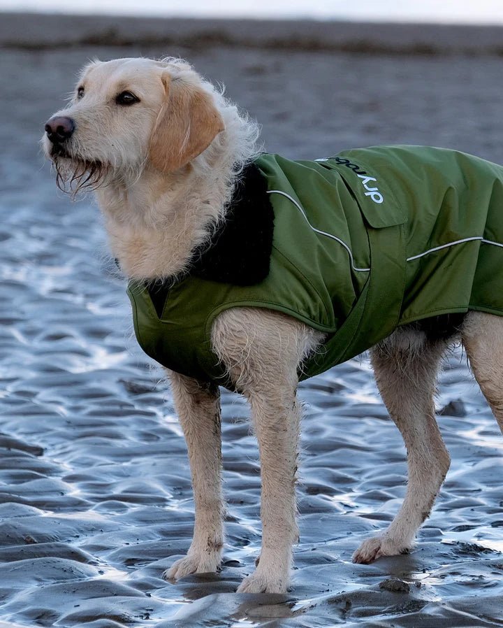 Dog Coat - Veste pour chien Vert / NoirPonchosDryrobe