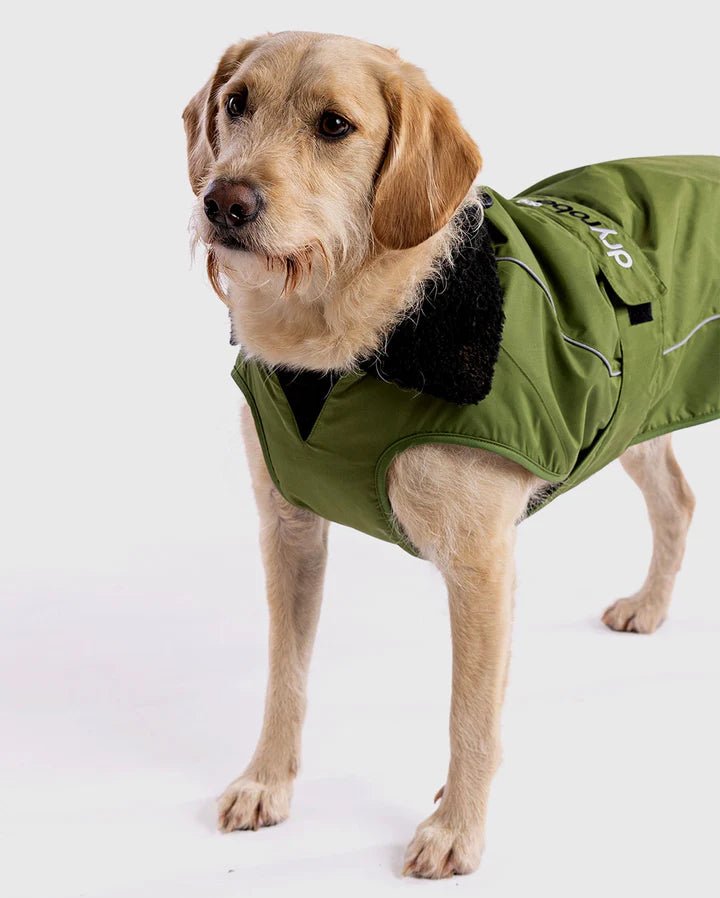 Dog Coat - Veste pour chien Vert / NoirPonchosDryrobe