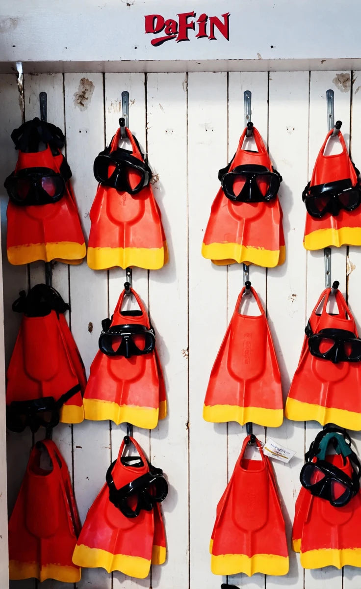 Pro Lifeguard Palmes BodyboardPalmesDafin