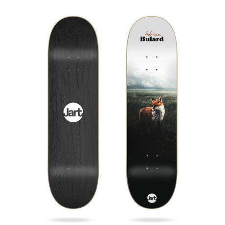 RED FOX planche de skate 8.125Skateboard StreetJart