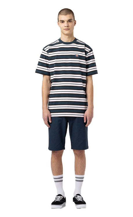 Slim Work Short Homme#ShortsDickies