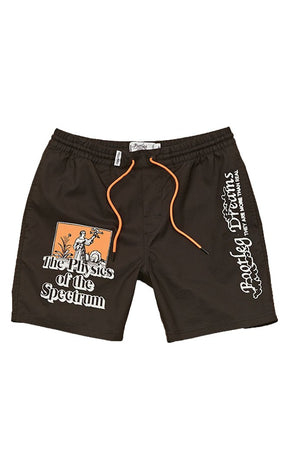 The Physics Boardshort Homme#BoardshortsGlobe
