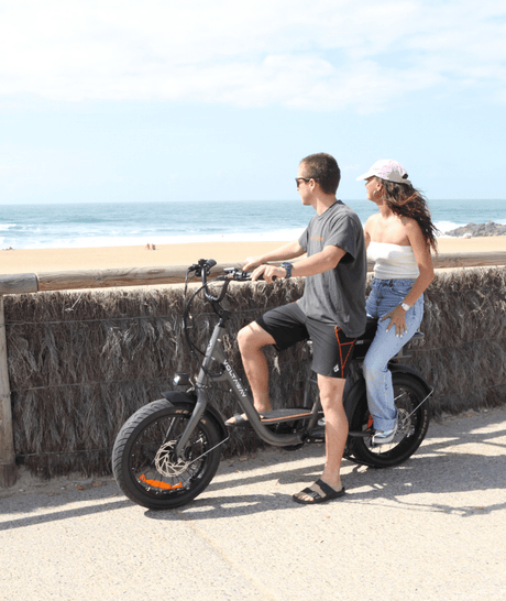 Voltaway Twinnee Vélo Electrique Bi-Place FeldgrauVoltaway