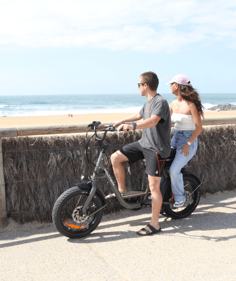 Voltaway Twinnee Vélo Electrique Bi-Place FeldgrauVoltaway