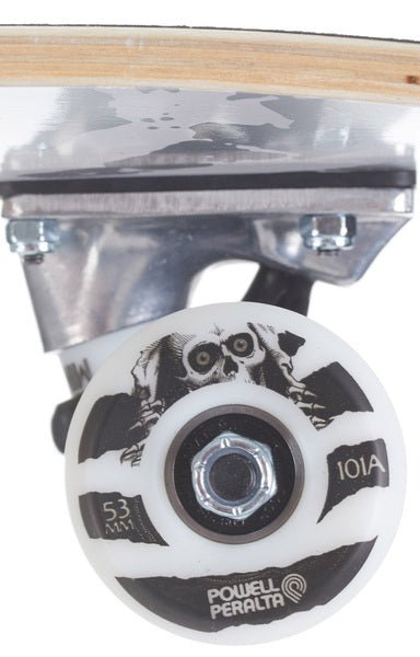 Wing Ripper Silver - Skate Complet 8.0 X 31.45Skateboard StreetPowell Peralta