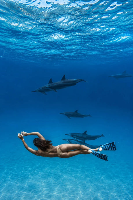 Zak Noyle Palmes BodyboardPalmesDafin