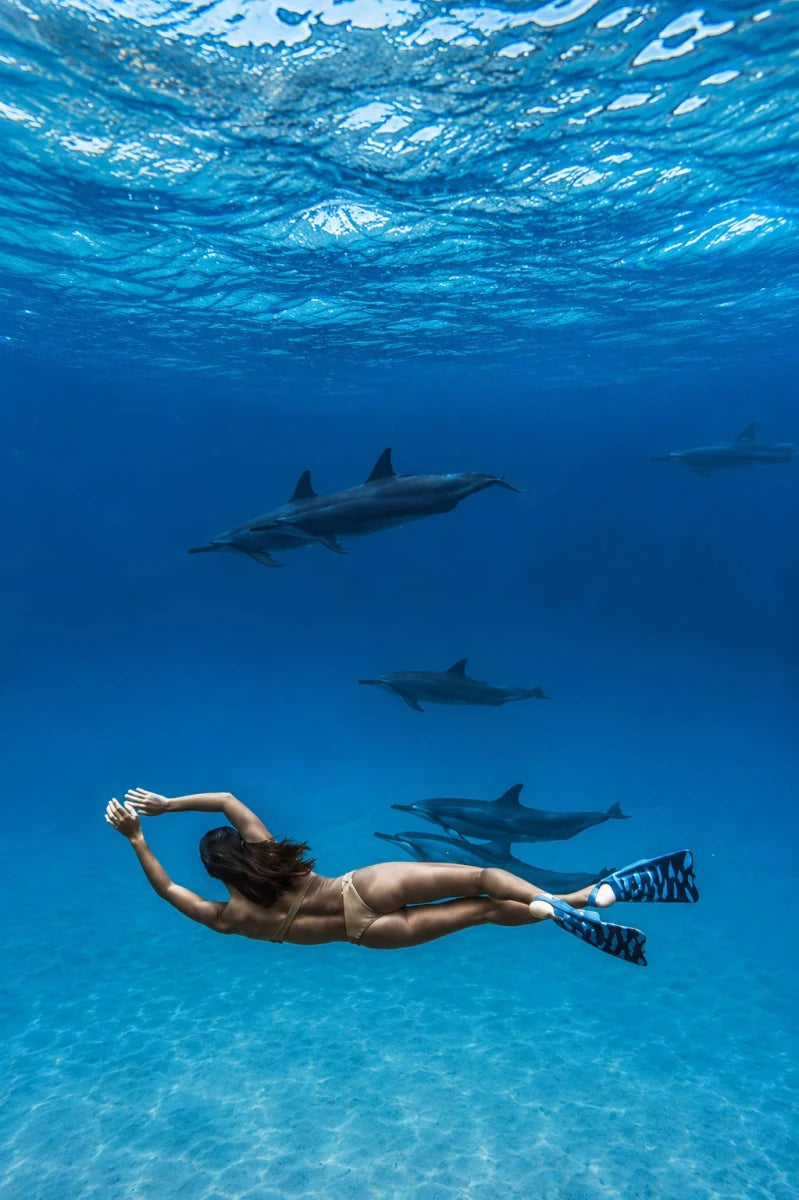 Zak Noyle Palmes BodyboardPalmesDafin