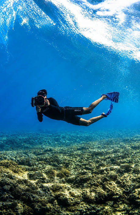 Zak Noyle Palmes BodyboardPalmesDafin