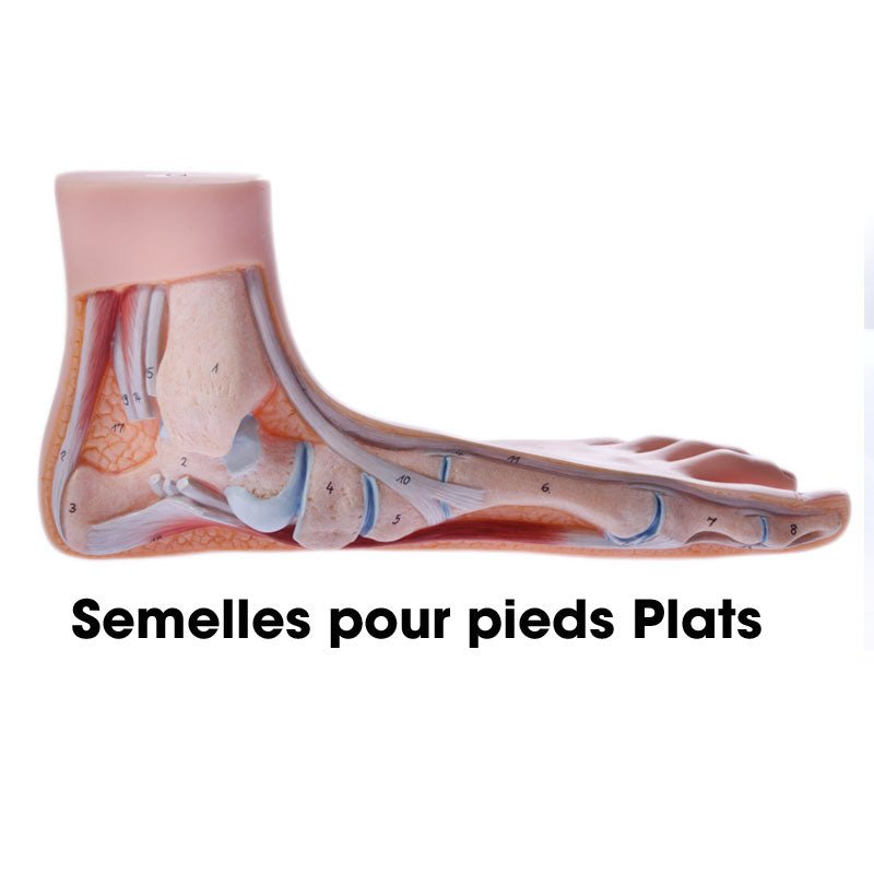 3 Feet Low Semelles#SemellesSidas