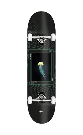 Elly Planche De Skate 8.125#Skateboard StreetUeber