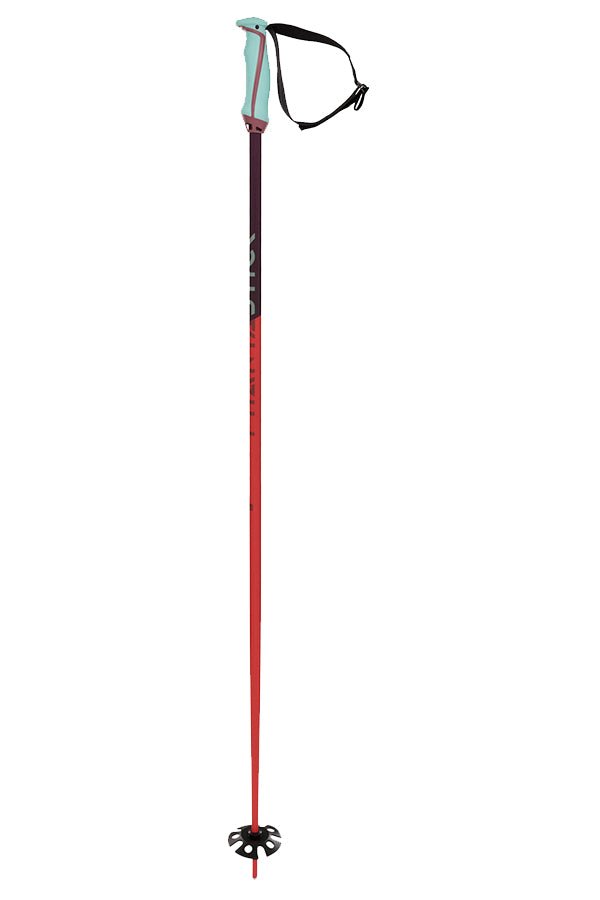 Phantastick Bâtons De Ski#Batons SkiVolkl