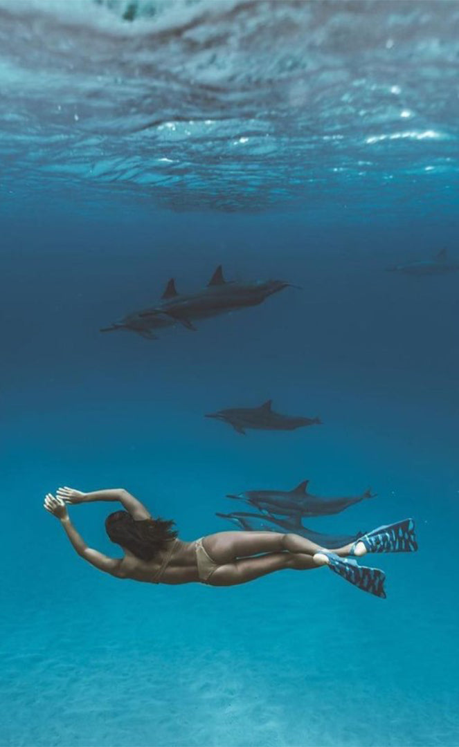 Dafin Zak Noyle Ocean Blue Bodyboardflossen OCEAN BLUE