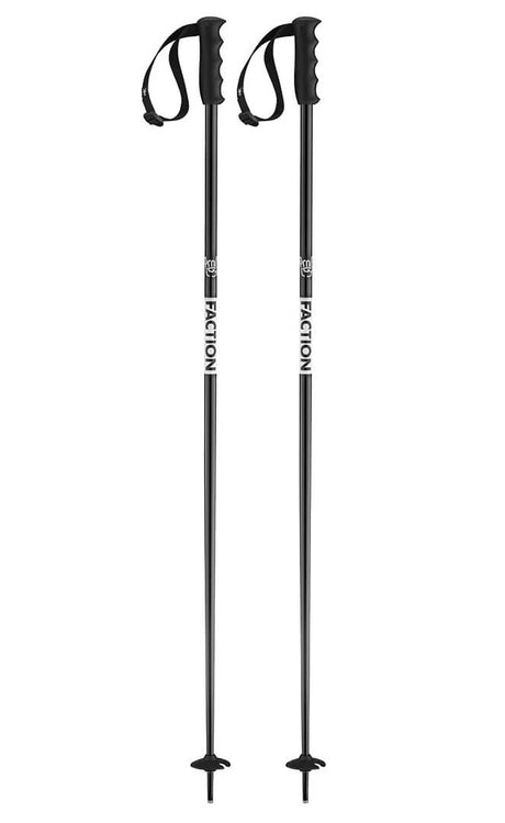 Prodigy ski poles#SkiFaction poles
